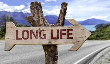 afbeelding van een bord in de vorm van een pijl waarop staat 'long life', het bord staat naast een geasfalteerde weg, en wijst naar een denkbeeldige afslag